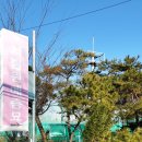 영농조합법인정원농장 이미지