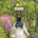 양구두타연 | 양구 두타연 가볼만한곳 양구 계곡 당일치기 트레킹