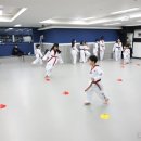 일동태권도장 네이버블로그
