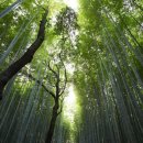 종합운동장 이미지