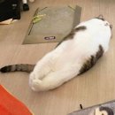 씨유 상무모아레이크점 | Welcome to the blog