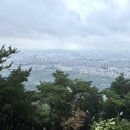 영희네전집