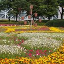 제36차 테마 울산 "장미축제~대왕암 공원~죽성성당" 이미지