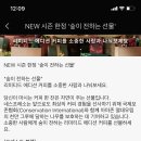 포레스트커피 이미지