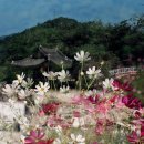 석제농장 이미지