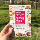 전주 제 22회 2024 발효식품엑스포 국제박람회 후기(배치도/체험/애견동반/베베핀/브레드이발소공연)