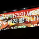 한잔하기 좋은 매콤한 땡초우동맛집 땡초우동in포차 사당점 다녀오다