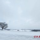 좋은여행사 이미지