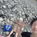 [3박4일 울릉도 4일차] 다시 육지로! 울릉도 기념품 쇼핑리스트(만물상 전망대 쑥빵, 카페래우 독도새우빵)