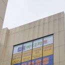 바디차트 이미지