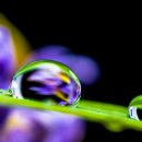 주식회사 한누리 이미지