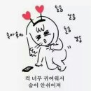 쿨펫 동물병원 이미지