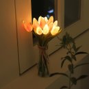 케이스튜디오 쇼핑하우