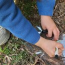 에코식물 생태도감 이미지