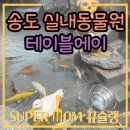 서요(송도점) | 아이랑 인천 송도 실내동물원 테이블에이 동물 먹이주기 체험