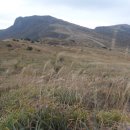 평원목장 이미지