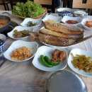 돌고래민박 이미지