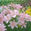 (주)태초 이미지