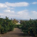 민성이네 농장 이미지