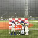 땅땅치킨옥동점 | 울산 문수야구장 1루 마구역 직관후기(+먹거리, 롯데자이언츠 마스코트)