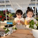 포시즌농장 이미지