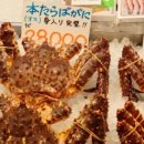 아침시장