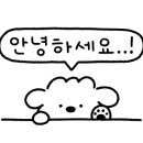 서초대로19길 49 이미지