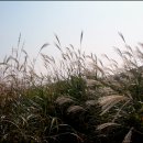 광일목장 이미지