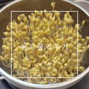 다이소 콩나물재배기 실패 성공 후기 서리태 콩나물콩 콩나물키우기 방법