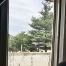 안정순환로 이미지