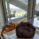 펫친구 | 내돈내산 | 춘천역 대표 강뷰맛집 대형카페 리버레인 솔직 후기