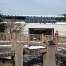 수원 나눔햇빛발전소 1호기 이미지