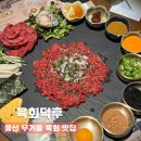 울산 무거동 육회 맛집 육회덕후, 차돌 사시미 안주 추천 재방문 후기