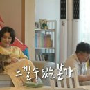 돈비