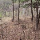 고래산농장 이미지