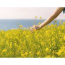 하이테크산업