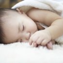배화여자대학교 부속 배화유치원