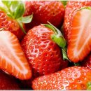 공간-조화 이미지