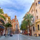 바른국제행정사사무소 이미지