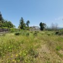 중문동-1 이미지