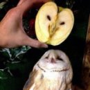 달콤한거짓말 이미지