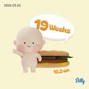 픽셀텍 | [임신 19주] 트립트랩 웜브라운 후기, 내돈내산, 가격인상, 👶🏻 19주차 활발한 태동