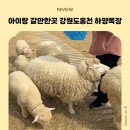 목동목장 | 강원도 홍천 갈만한 곳 비발디파크 근처 하양목장 양떼목장