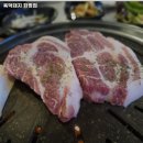 육덕돼지 이미지