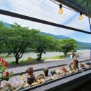 댕댕하동 이미지