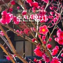 선암사 | 순천 선암사 입장료 주차장 홍매화 최근 방문 후기 가볼만한곳