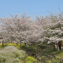 서광리-10 | 제주 한경면 청수리 펜션 제대로 찾은 날 비마이아일 본관1 대가족 아이동반 숙소 리얼 후기