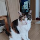 대디동물병원 이미지