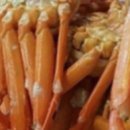 오이소홍게무한리필 이미지