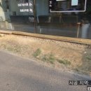 참진약국 이미지